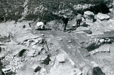 Fragment kamiennych fundamentów kościoła (kolegiaty) podczas badań