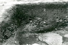 Fragment profilu archeologicznego ściany północnej wykopu w kolegiacie