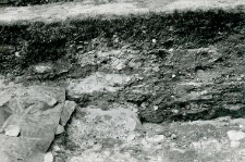 Fragment profilu ściany północnej wykopu w kolegiacie i kamienne fundamenty kościoła