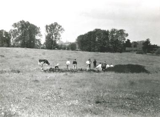 General view on the trenches