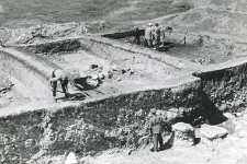 Research trenches with profile witnesses during excavations, view from above