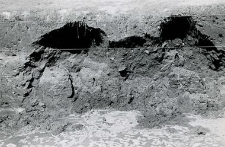 Trench west of the collegiate church, fragment of the water-mined northern profile