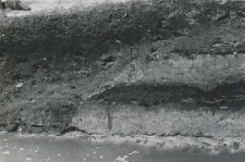 Fragment of the northern wall profile, quarter C, section 101 (west from the collegiate church)