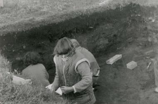 Field works (S. Nowińska?)