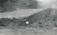 Northern part of the further profile running SW-NE, crossing the burrows 19 and 20