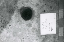 Burrow on the top of layer 29