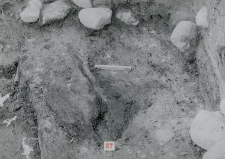 Fragment of a burnt wood in layer 27