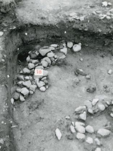 Skupisko kamieni niezwiązanych żadną zaprawą (warstwa 18) w południowo-zachodnim narożniku działki