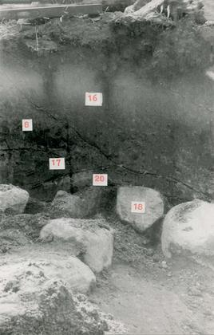 Fragment of the slot western profile