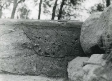 Fragment of the eastern trench profile with adjoinig stones of the wall footing of the southern wall of the St Paul collegiate church