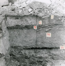 Eastern profile of the trench fragment, northern part