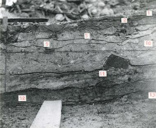 Eastern profile of the trench fragment, southern part