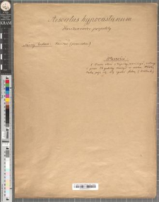 Aesculus hypocastanum