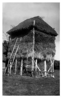 Hayrack