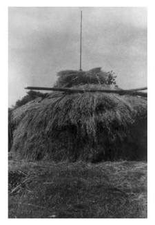 Haystack