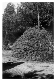 Haystack
