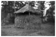 Hayrack