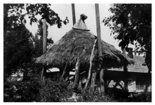 Hayrack