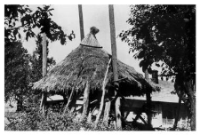 Hayrack