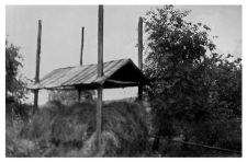Hayrack