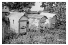 Wooden beehives