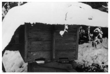 A wooden beehive