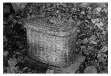 A bee skep