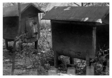 Wooden beehives