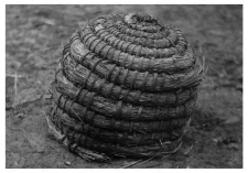 A bee skep