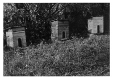 Wooden beehives