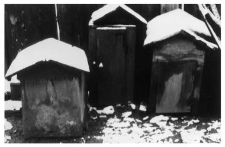 Wooden beehives