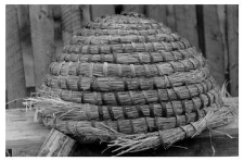 A bee skep
