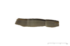 Plattenhornstein rogowiec (Tabular chert of the Baiersdorf-type) : dokumentacja [2D]