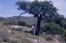 Ithaca-Kefalinia (1992)