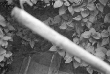 pole for drawing water from a well