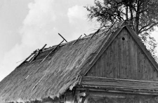 A straw-thatched roof of a house