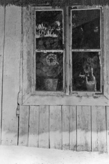 window