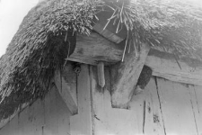 fragment of a residential building