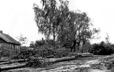 Road