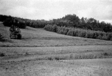 Brąswald, Olszyn district, Olsztyn voivodeship