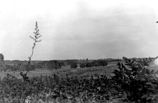 View of a village