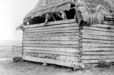 Farm building