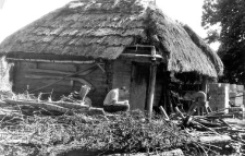 Granary