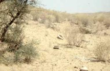 Rural architecture and garments