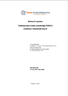 Oddziaływania kanału potasowego ROMK2 z białkami mitochondrialnymi : praca doktorska