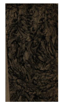 Nad Niemnem : powieść w trzech tomach. T. 2