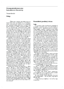 Wczesnośredniowieczne kowalstwo w Kruszwicy