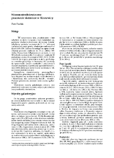 Wczesnośredniowieczne pracownie sk&oacute;rnicze w Kruszwicy