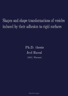 Shapes and shape transformations of vesicles induced by their adhesion to rigid surfaces