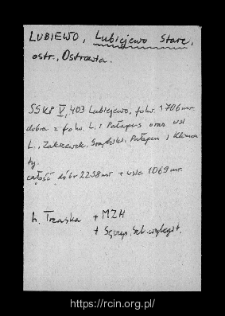 Stare Lubiejewo. Files of Ostrow Mazowiecka district in the Middle Ages. Files of Historico-Geographical Dictionary of Masovia in the Middle Ages